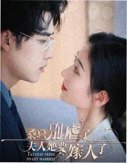 雾港追凶 犯罪悬疑电视剧免费追剧